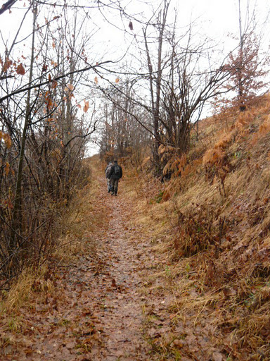 20111217 Zarándban barargolva 0900